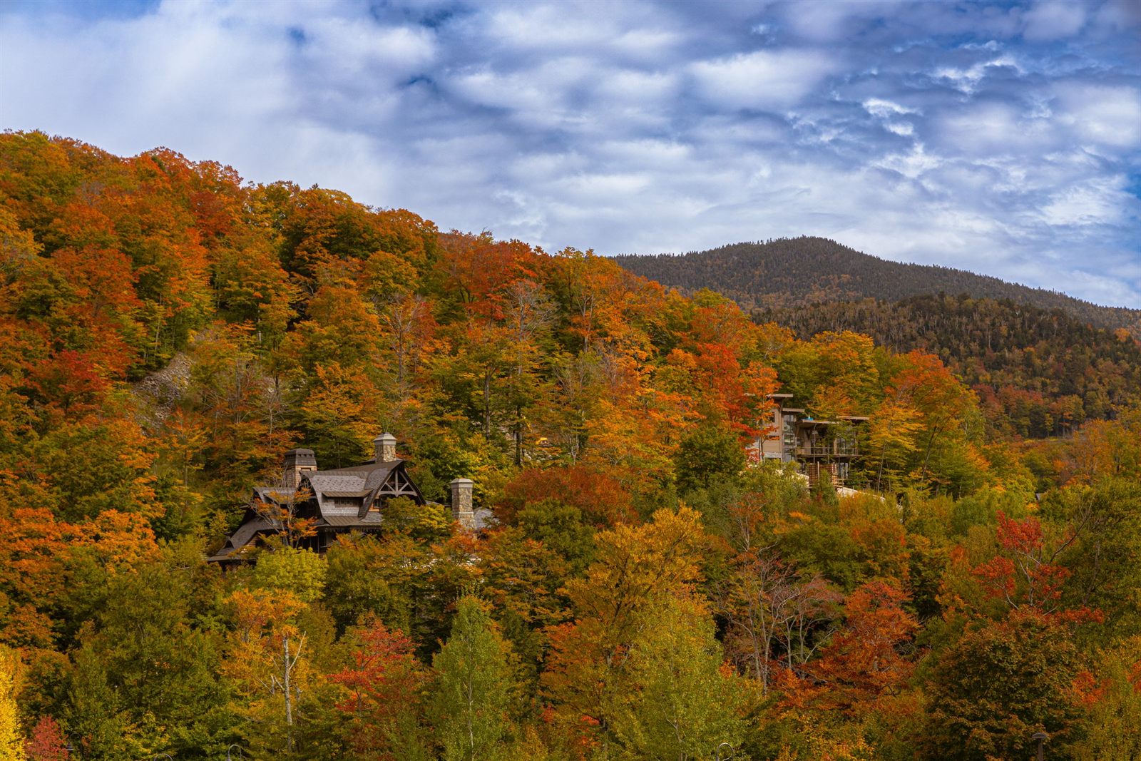 Hillside forest in full red, orange and gold autumn color