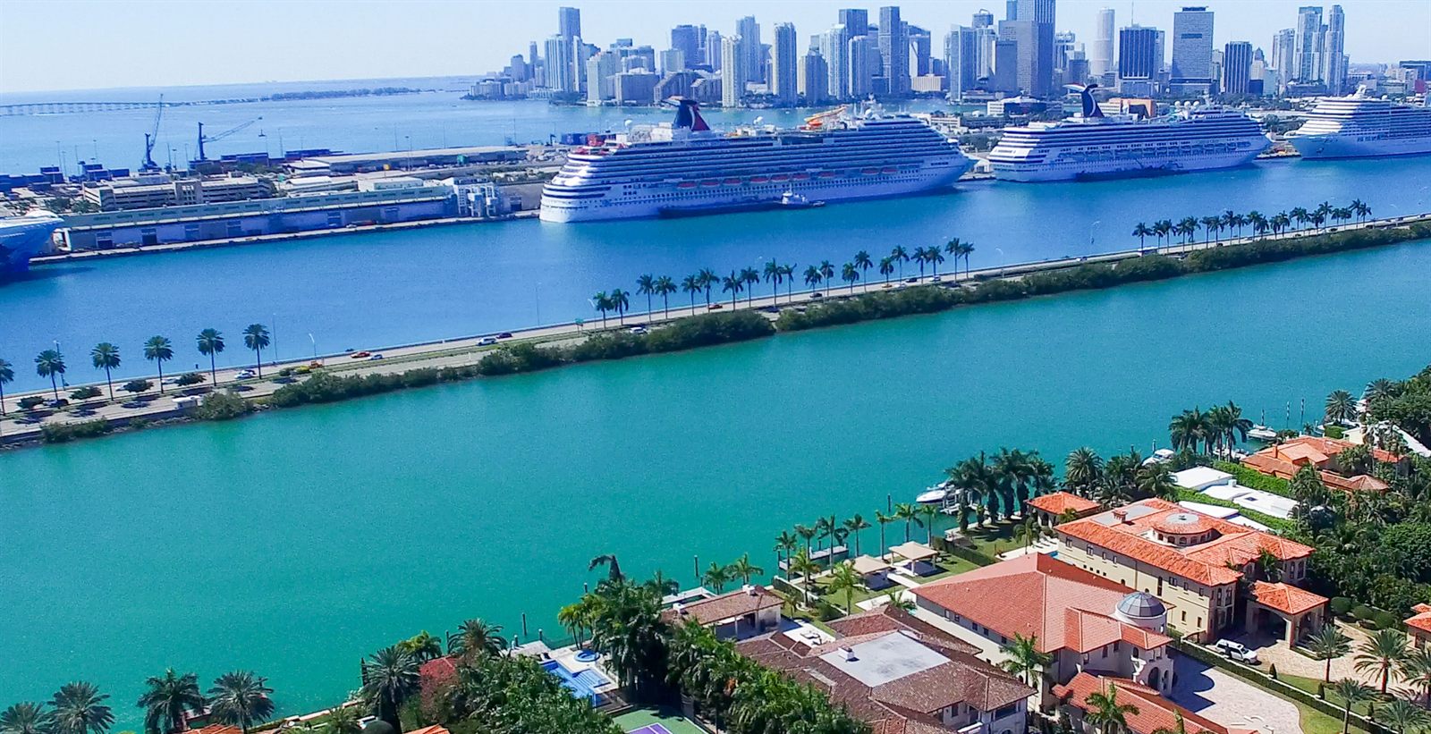 Cruise ships berthed at a port beside a palm-lined causeway and city skyline